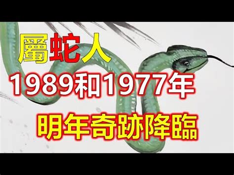 1989 蛇 五行|1989年五行属什么命 89年属蛇五行属什么